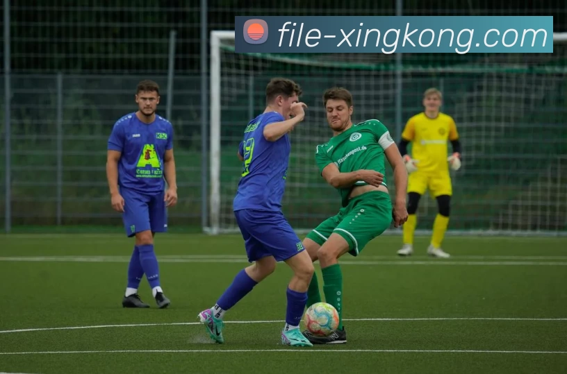 星空体育平台生态图