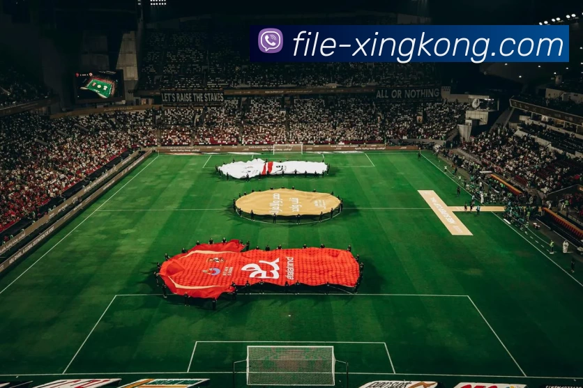 星空体育APP 封面图