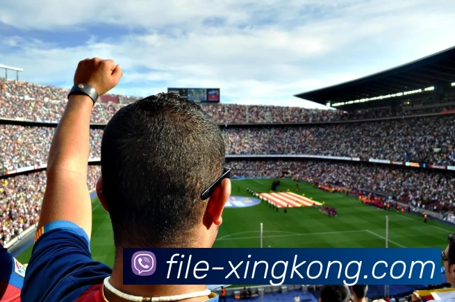 数据防护可视化